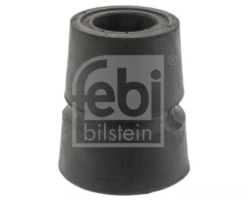 Bushing, leaf spring