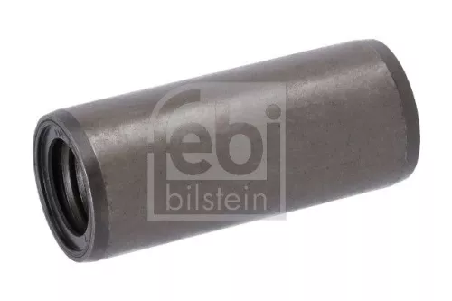 Bushing, leaf spring