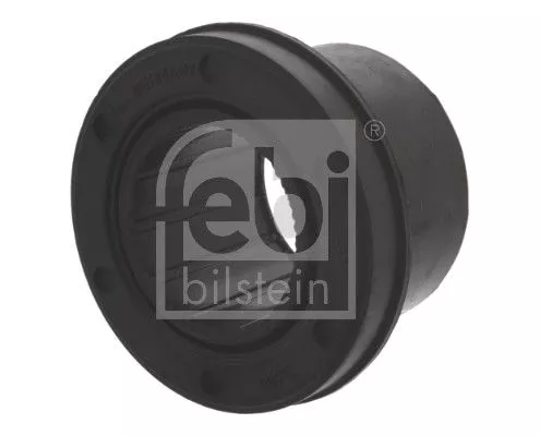 Mounting, control/trailing arm