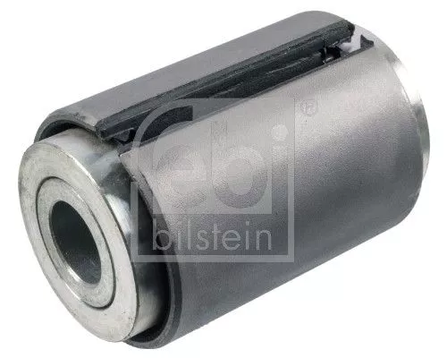 Bushing, leaf spring