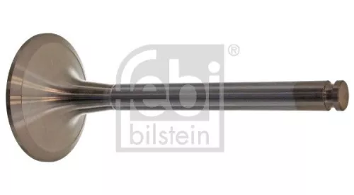 Intake Valve