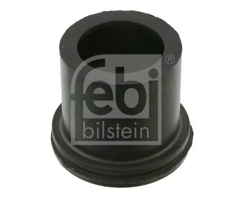 Bushing, leaf spring