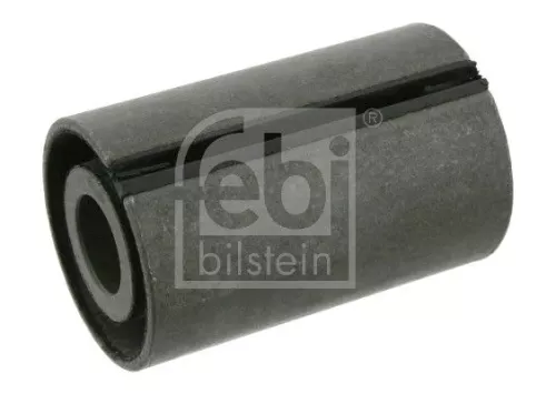 Bushing, leaf spring