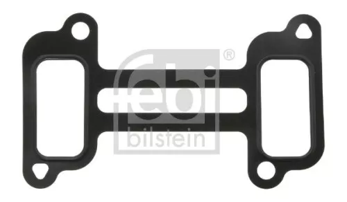 Gasket, intake manifold