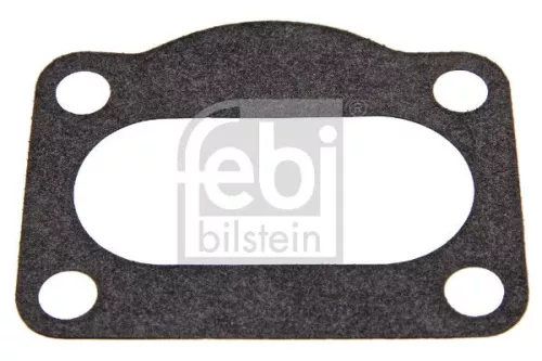 Gasket, manual transmission housing