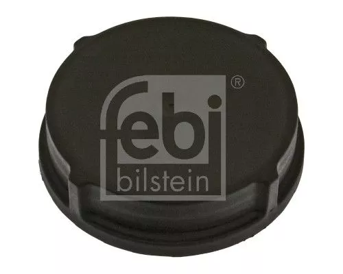 Cap, power steering fluid reservoir