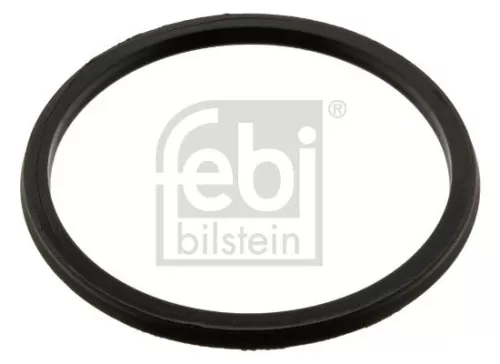 Seal Ring, gearshift linkage