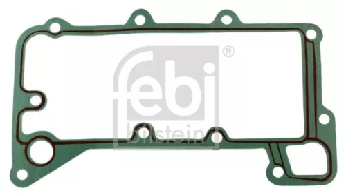 Gasket, oil cooler