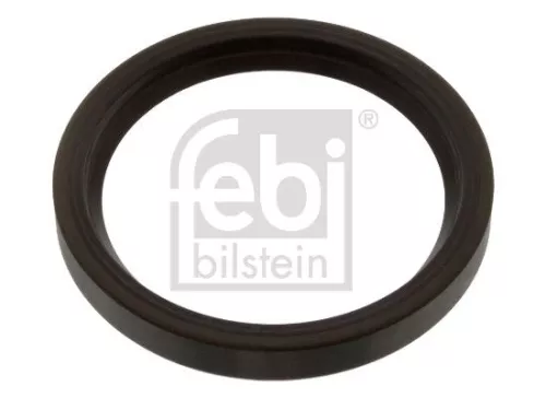 Shaft Seal, differential