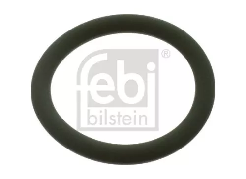 Seal, injector holder