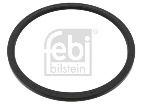 Seal Ring, spring link