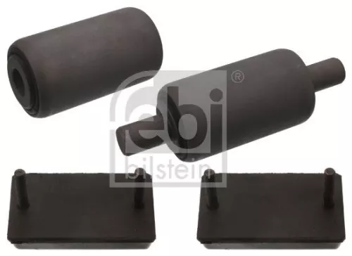 Mounting, leaf spring