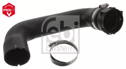 Radiator Hose