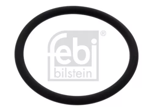 Seal, injector holder