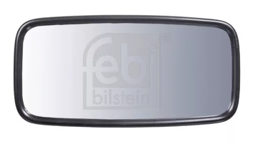 Exterior Mirror, driver cab