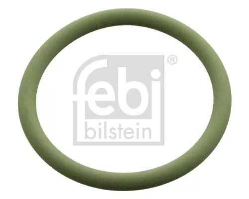 Gasket, manual transmission housing