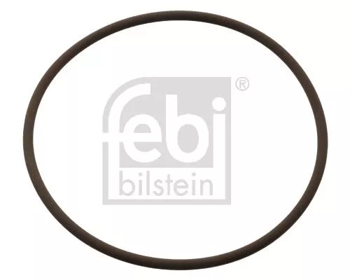 Seal Ring, coolant pipe