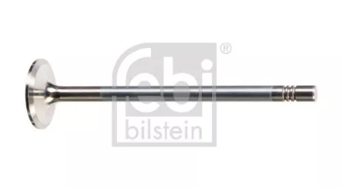 Intake Valve