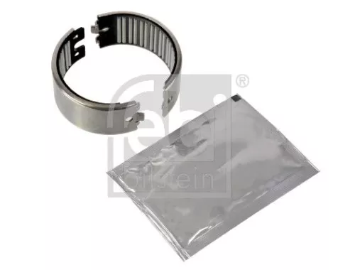 Bearing, brake caliper