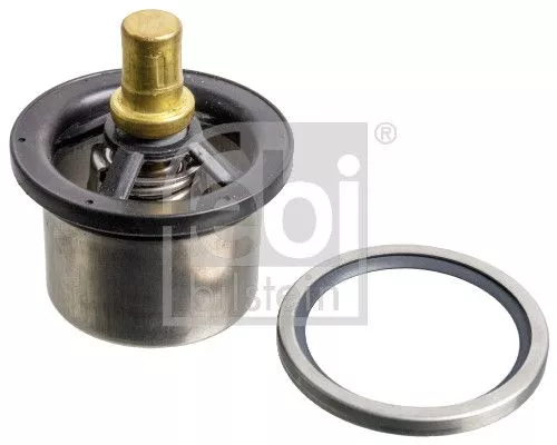 Thermostat, coolant