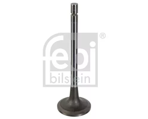 Intake Valve