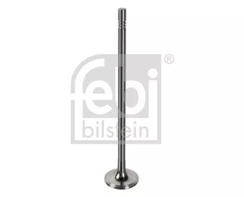 Intake Valve