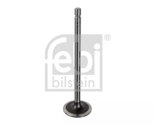 Intake Valve