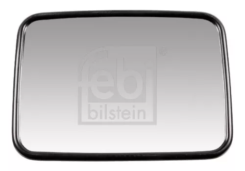 Exterior Mirror, driver cab