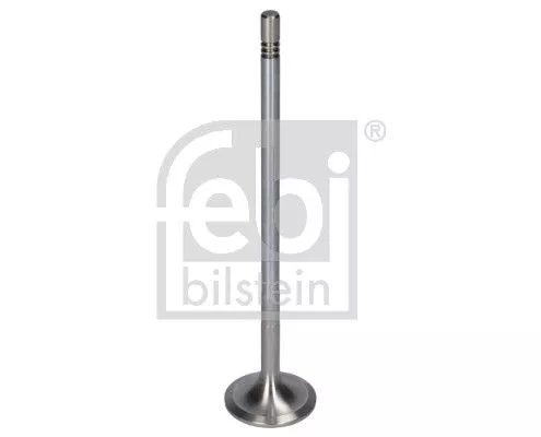 Intake Valve