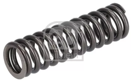 Valve Spring