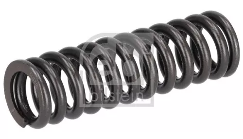 Valve Spring