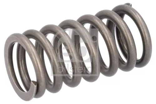 Valve Spring