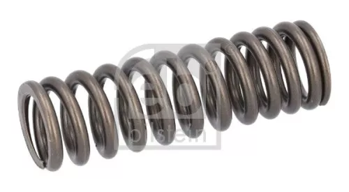 Valve Spring
