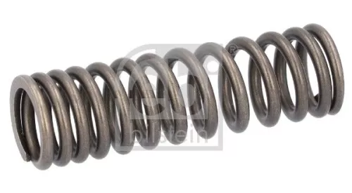 Valve Spring