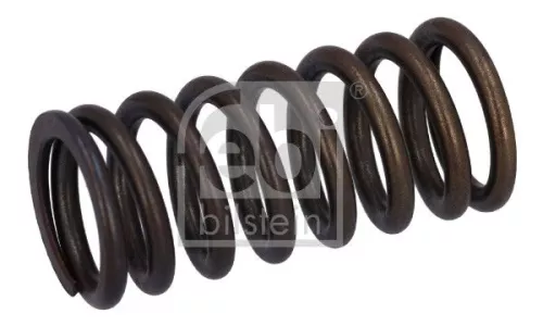 Valve Spring