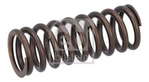 Valve Spring