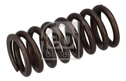 Valve Spring