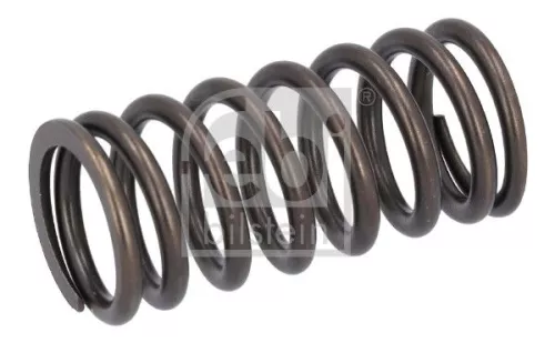 Valve Spring