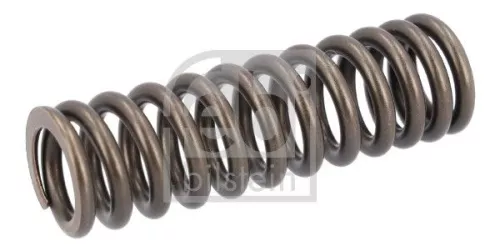 Valve Spring