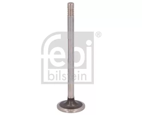 Intake Valve